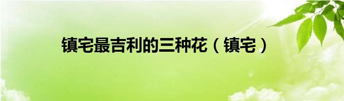 镇宅最吉利的三种花（镇宅）