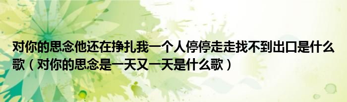 对你的思念他还在挣扎我一个人停停走走找不到出口是什么歌（对你的思念是一天又一天是什么歌）