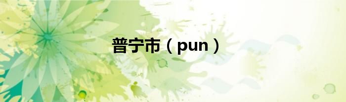 普宁市（pun）