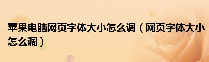 苹果电脑网页字体大小怎么调（网页字体大小怎么调）