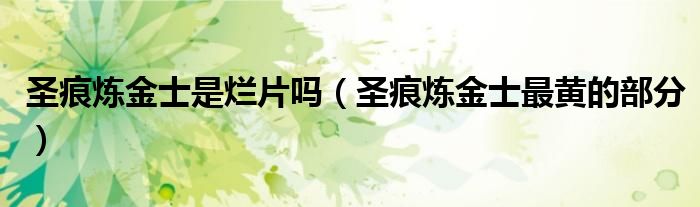 圣痕炼金士是烂片吗（圣痕炼金士最黄的部分）