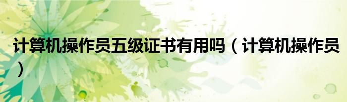 计算机操作员五级证书有用吗（计算机操作员）