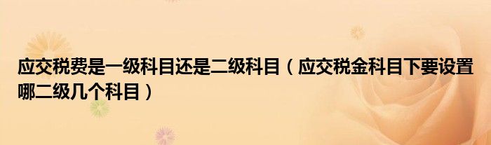 应交税费是一级科目还是二级科目（应交税金科目下要设置哪二级几个科目）