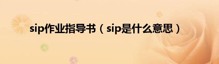 sip作业指导书（sip是什么意思）