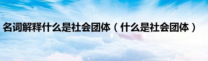 名词解释什么是社会团体（什么是社会团体）