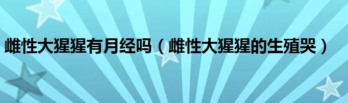 雌性大猩猩有月经吗（雌性大猩猩的生殖哭）
