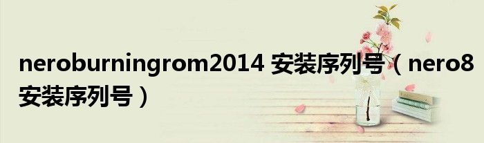 neroburningrom2014 安装序列号（nero8安装序列号）