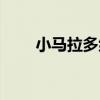 小马拉多纳阅读答案（小马拉多纳）