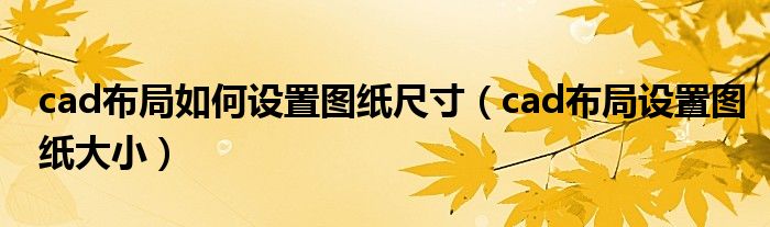 cad布局如何设置图纸尺寸（cad布局设置图纸大小）