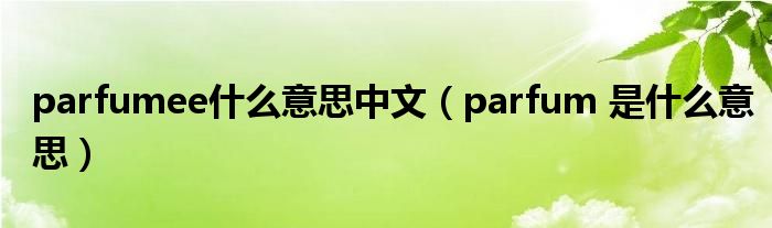 parfumee什么意思中文（parfum 是什么意思）