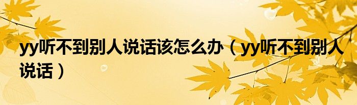 yy听不到别人说话该怎么办（yy听不到别人说话）