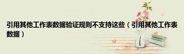引用其他工作表数据验证规则不支持这些（引用其他工作表数据）