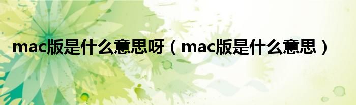 mac版是什么意思呀（mac版是什么意思）