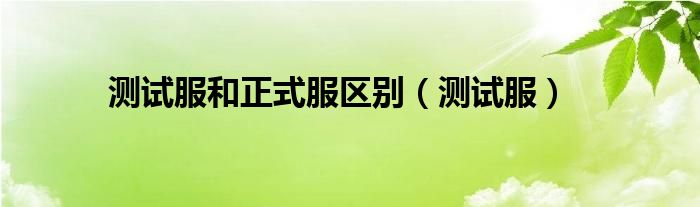 测试服和正式服区别（测试服）