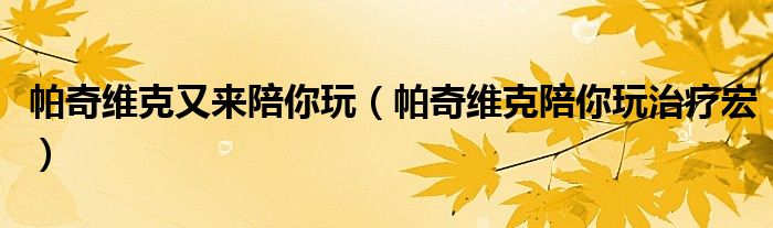 帕奇维克又来陪你玩（帕奇维克陪你玩治疗宏）