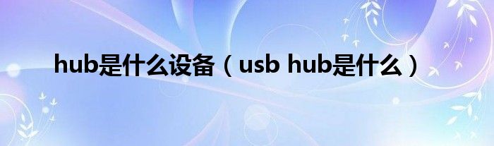 现代的什么是hub的照片