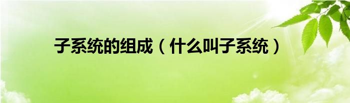 子系统的组成（什么叫子系统）