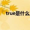true是什么意思中文（true是什么意思）