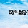 双声道是什么意思（ssd是什么意思）