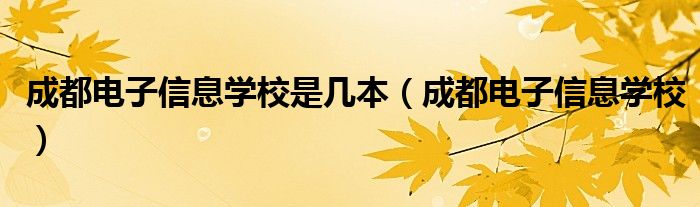 成都电子信息学校是几本（成都电子信息学校）