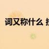 词又称什么 按字数一般分为（词又称什么）