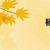 杨杏佛简介（杨杏）