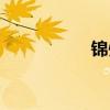 锦州港（锦州港股票）