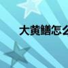 大黄鳝怎么煮才好吃（大黄鳝怎么煮）