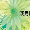 淡月新凉 黎湘（淡月新凉）