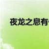 夜龙之息有什么用（夜龙之息怎么获得）