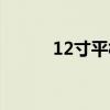 12寸平板有多大（12寸有多大）