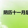 阴历十一月是什么星座（一月是什么星座）