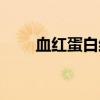 血红蛋白结构动图（血红蛋白结构）