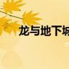 龙与地下城桌游（龙与地下城online）