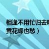 相逢不用忙归去明日黄花蝶也愁解释（相逢不用忙归去明日黄花蝶也愁）