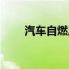 汽车自燃原因大全（汽车自燃原因）