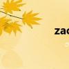 zack hemsey（zack）