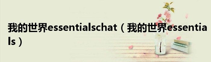 我的世界essentialschat（我的世界essentials）