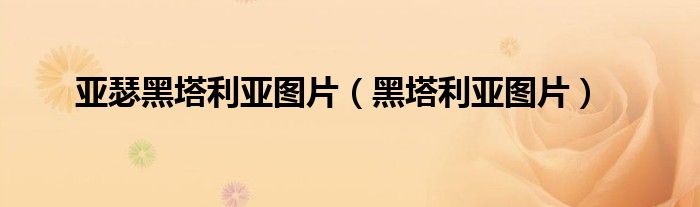 亚瑟黑塔利亚图片（黑塔利亚图片）