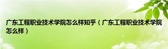 广东工程职业技术学院怎么样知乎（广东工程职业技术学院怎么样）
