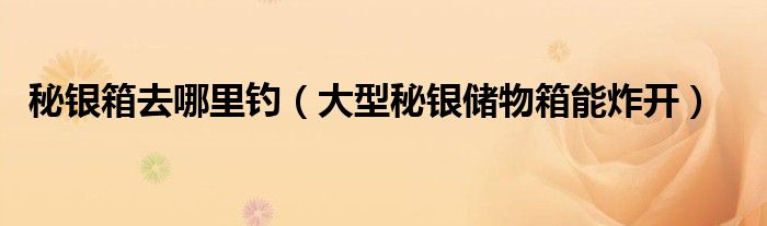 秘银箱去哪里钓（大型秘银储物箱能炸开）