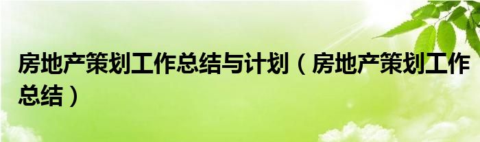 房地产策划工作总结与计划（房地产策划工作总结）