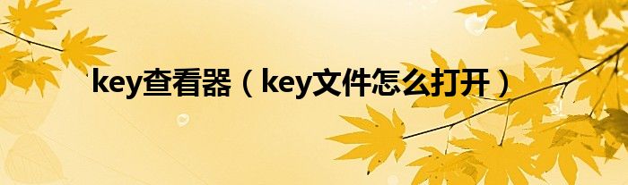 key查看器（key文件怎么打开）