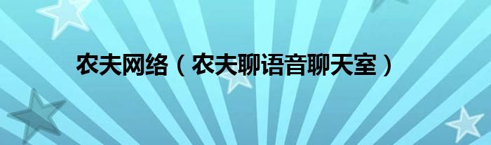 农夫网络（农夫聊语音聊天室）