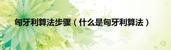 匈牙利算法步骤（什么是匈牙利算法）
