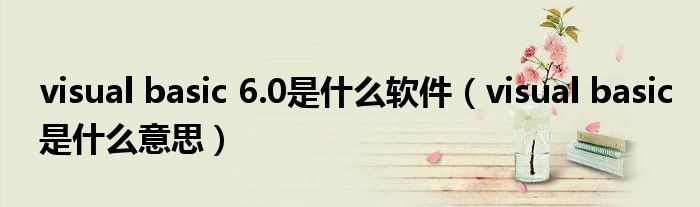 visual basic 6.0是什么软件（visual basic是什么意思）