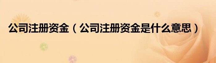 公司注册资金（公司注册资金是什么意思）