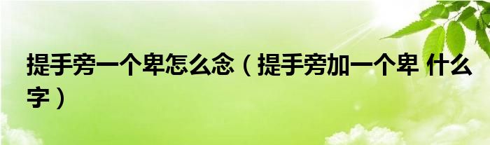 提手旁一个卑怎么念（提手旁加一个卑 什么字）