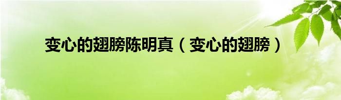 变心的翅膀陈明真（变心的翅膀）