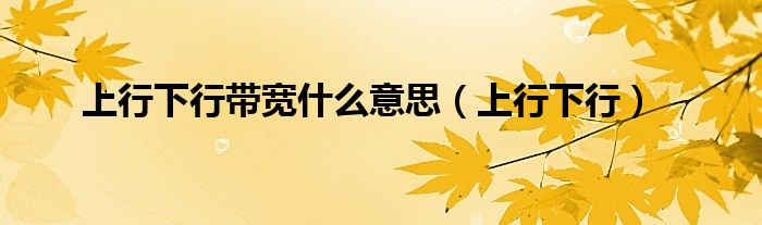 上行下行带宽什么意思（上行下行）